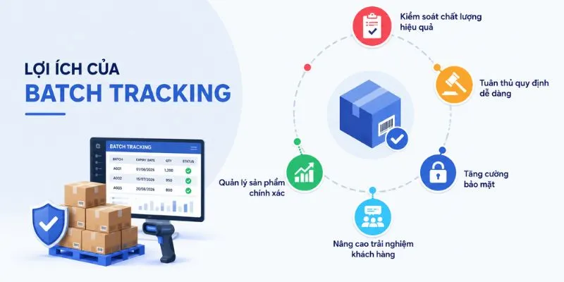 Những lợi ích mang lại